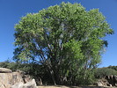 photo thumbnail #10