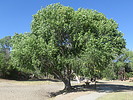 photo thumbnail #14