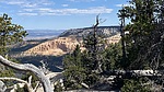 photo thumbnail #10