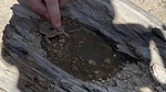 photo thumbnail #11