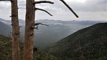 photo thumbnail #11