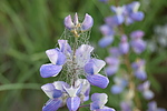 photo thumbnail #14