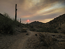 photo thumbnail #2