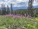 photo thumbnail #5