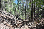 photo thumbnail #1