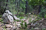 photo thumbnail #4