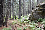 photo thumbnail #5
