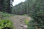 photo thumbnail #7