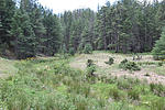 photo thumbnail #9