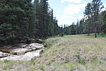 photo thumbnail #12