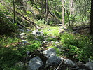 photo thumbnail #4