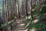 photo thumbnail #5