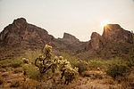 photo thumbnail #6