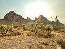 photo thumbnail #7