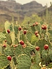 photo thumbnail #10