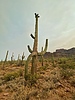 photo thumbnail #11