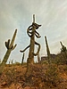 photo thumbnail #15