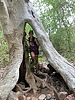 photo thumbnail #1