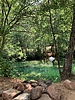 photo thumbnail #11