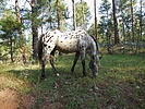 photo thumbnail #7
