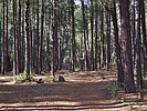 photo thumbnail #14