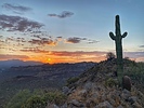 photo thumbnail #4