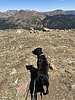 photo thumbnail #7