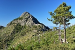 photo thumbnail #5