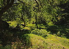 photo thumbnail #12