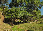 photo thumbnail #13