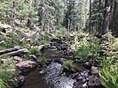 photo thumbnail #8
