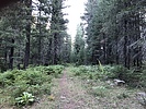 photo thumbnail #9