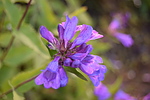 photo thumbnail #14
