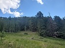 photo thumbnail #6