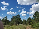 photo thumbnail #8