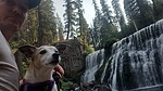 photo thumbnail #10
