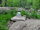 photo thumbnail #11