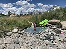 photo thumbnail #3