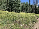 photo thumbnail #4