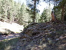 photo thumbnail #8