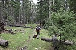 photo thumbnail #2