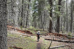 photo thumbnail #3