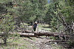 photo thumbnail #4