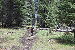 photo thumbnail #6