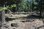 photo thumbnail #7