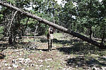 photo thumbnail #8