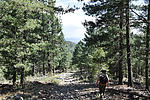photo thumbnail #9