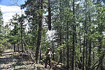 photo thumbnail #10