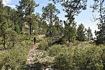 photo thumbnail #14