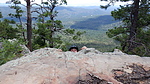 photo thumbnail #6